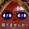 冀时 