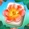 秘密影视播放器